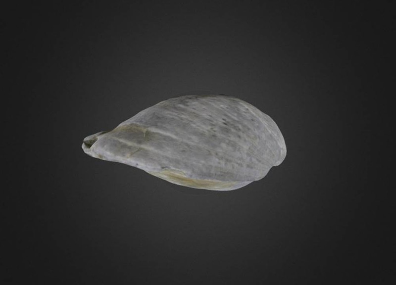 Thumb 6