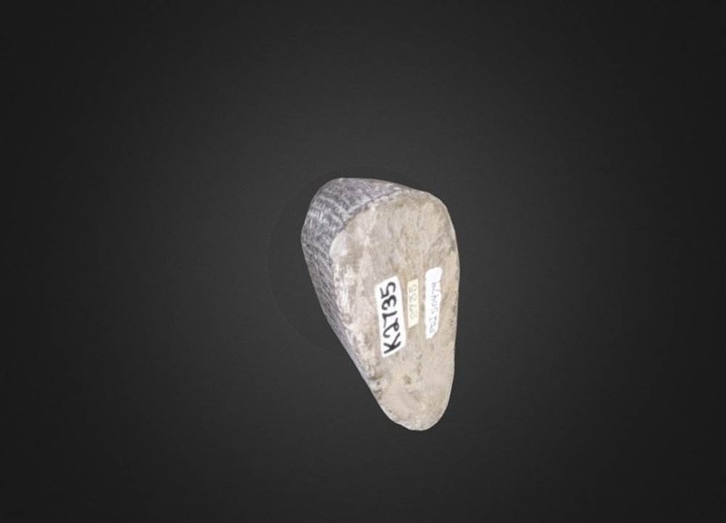 Thumb 11