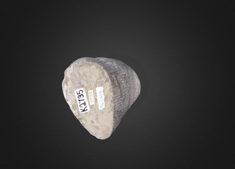 Thumb 12