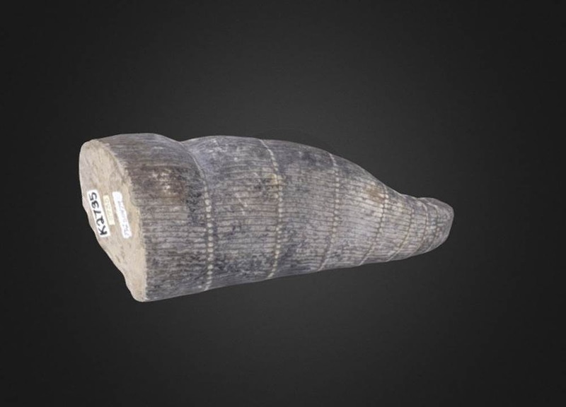 Thumb 14