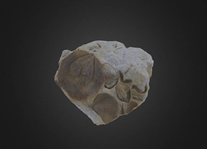 image_processing20200609-18091-1fns1ii.jpeg