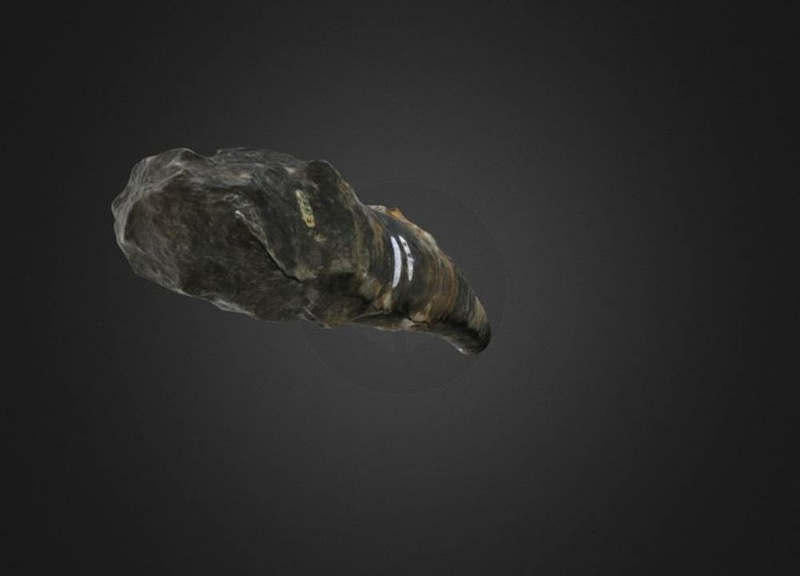 Thumb 12