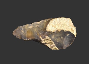 image_processing20200609-28158-1nkrdb3.jpeg