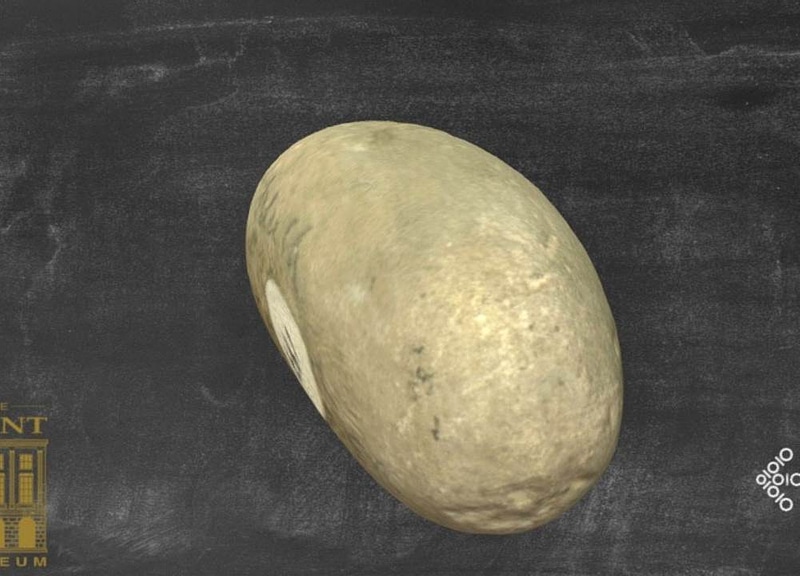 Thumb 10