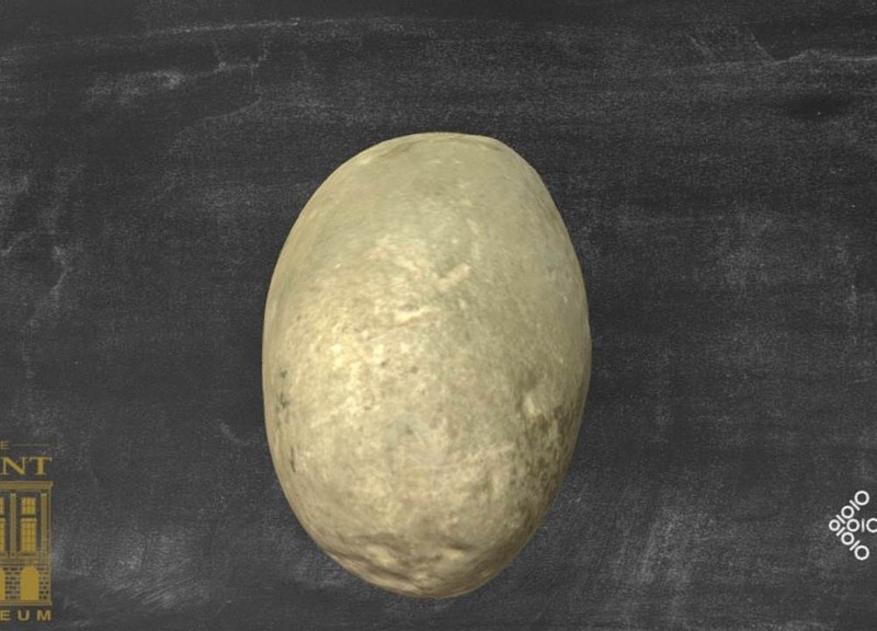 Thumb 11