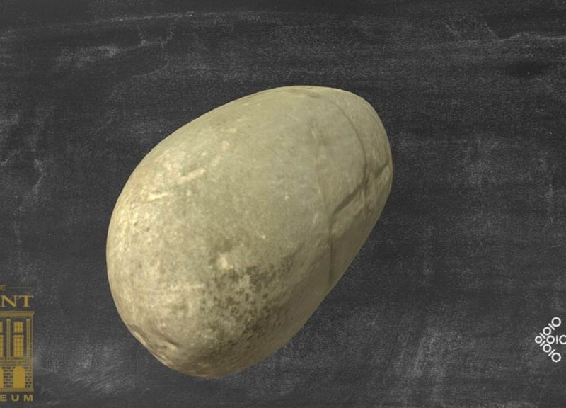 Thumb 12
