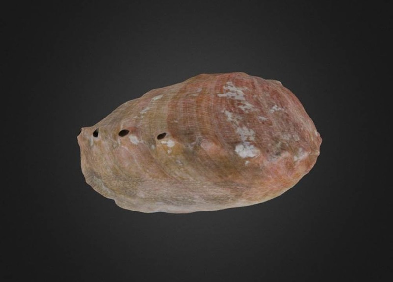 Thumb 6