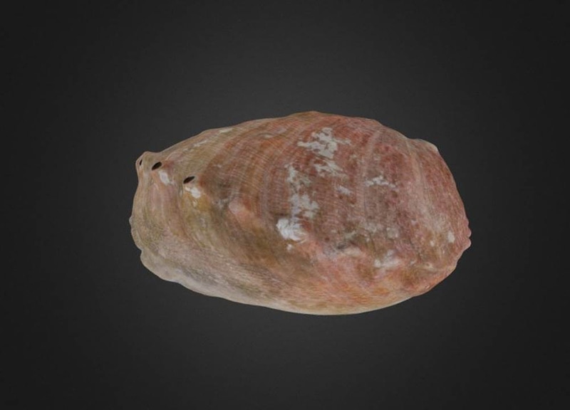 Thumb 7