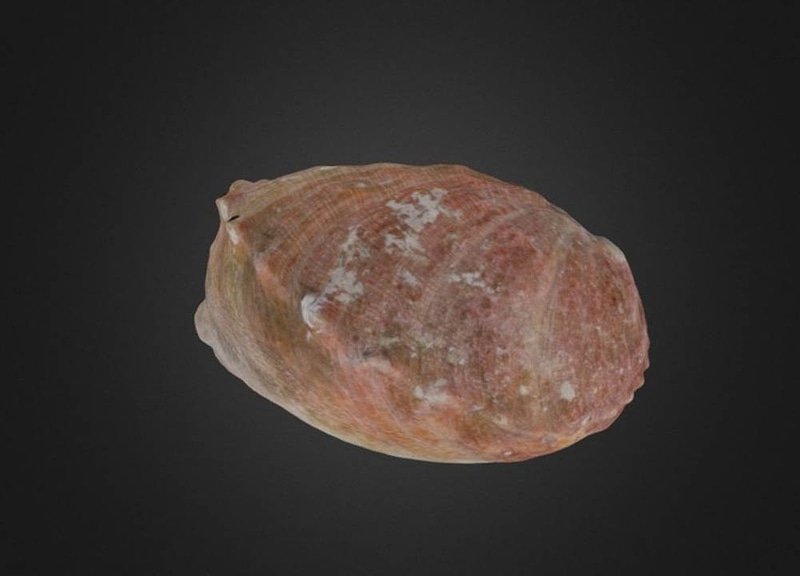 Thumb 8