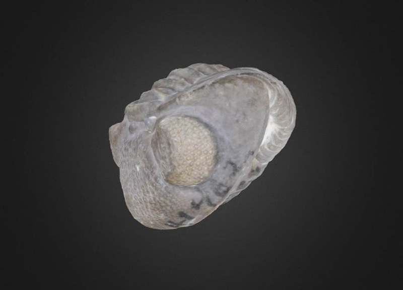 Thumb 1