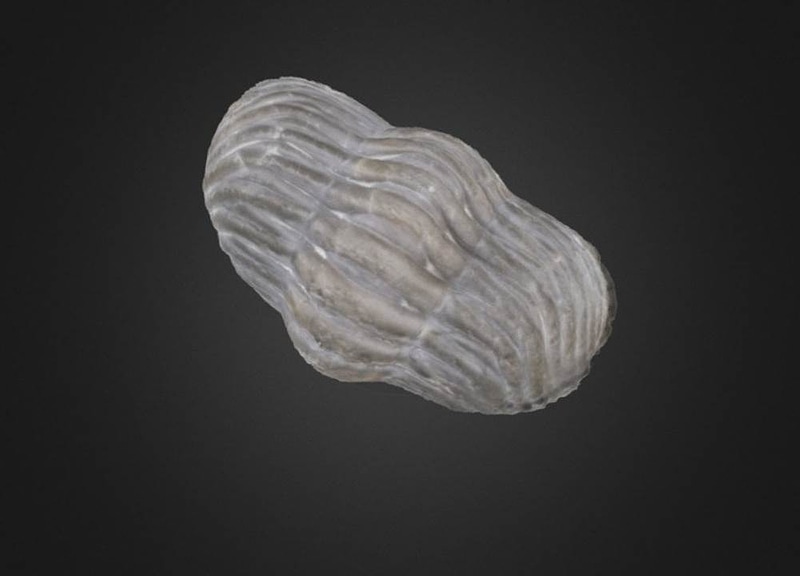 Thumb 7
