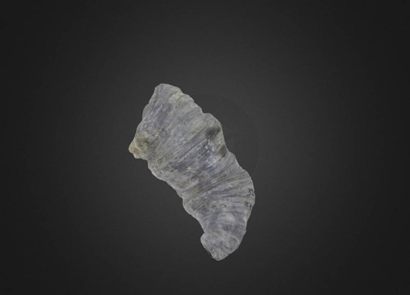 Thumb 1