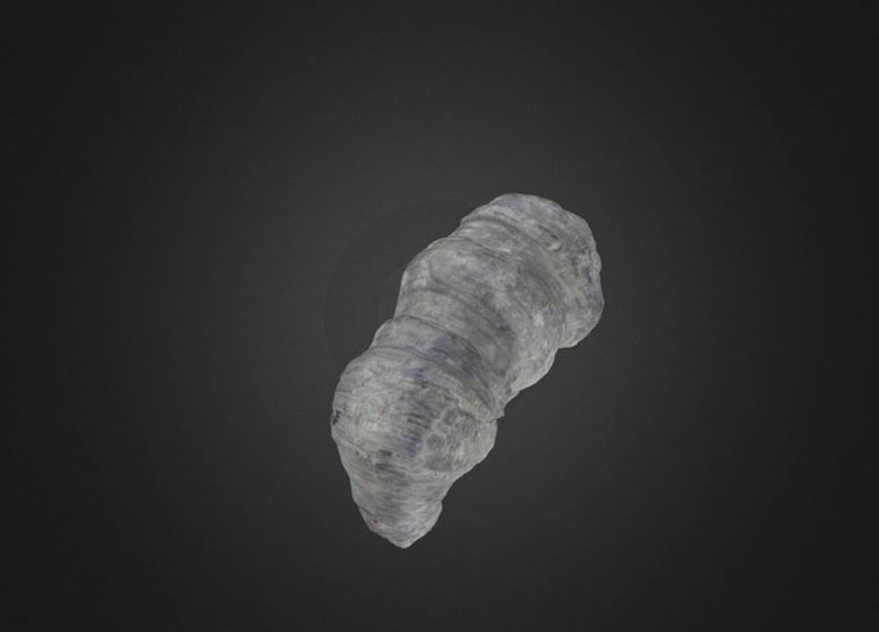 Thumb 8
