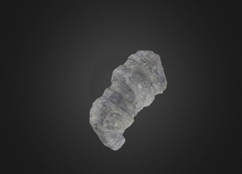 Thumb 9