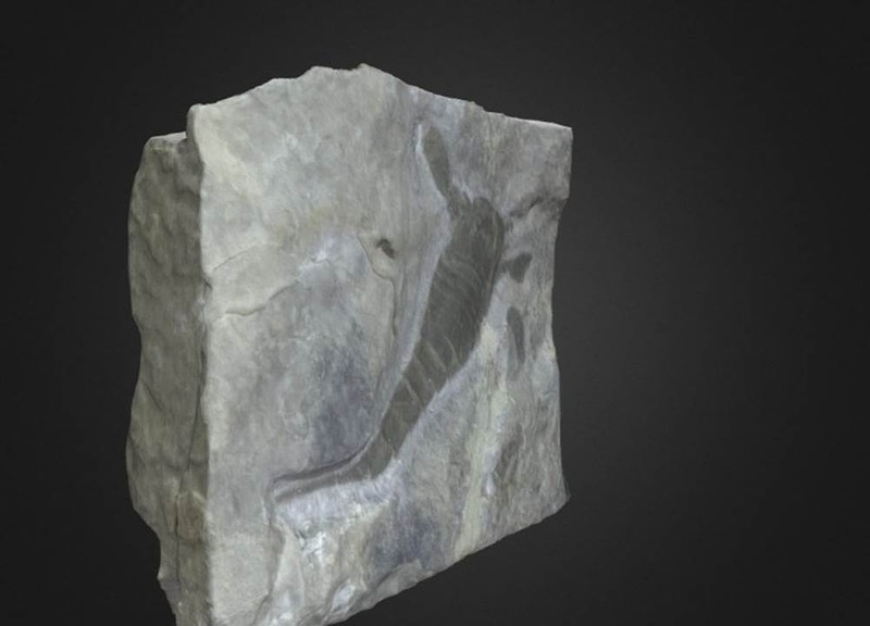 Thumb 13
