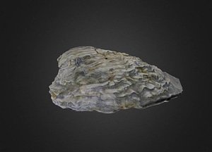 image_processing20200609-22853-19ckvab.jpeg