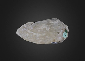 image_processing20200609-19935-n47cp5.jpeg