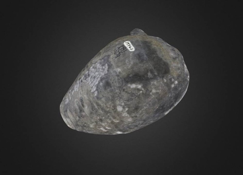 Thumb 1