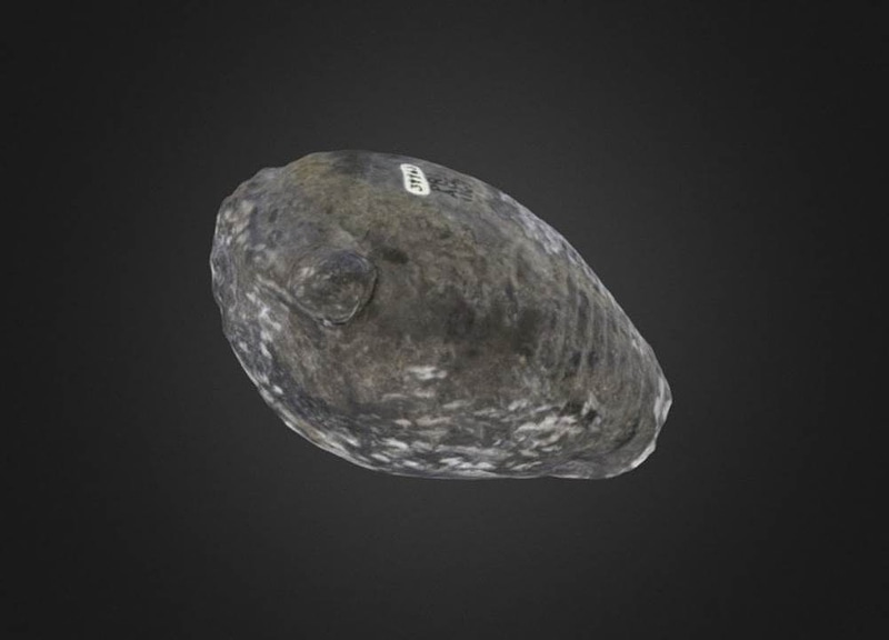 Thumb 9