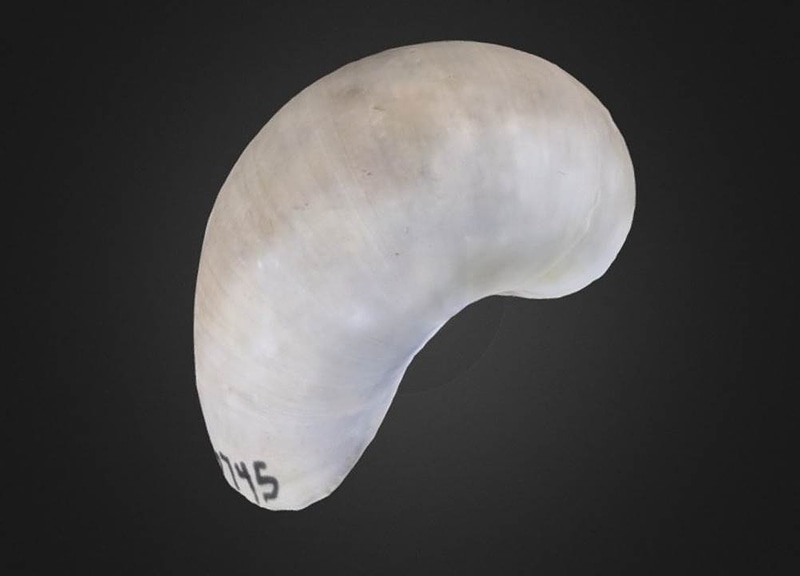 Thumb 9