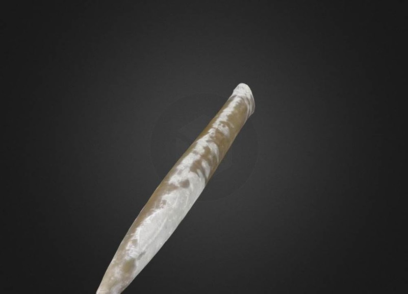 Thumb 12