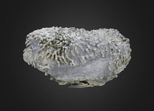 image_processing20200609-30039-5cq8vq.jpeg