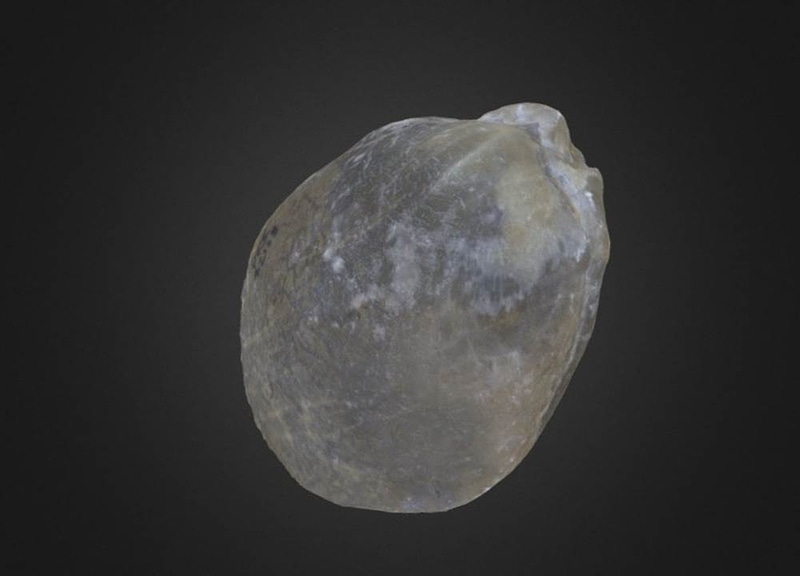 Thumb 1