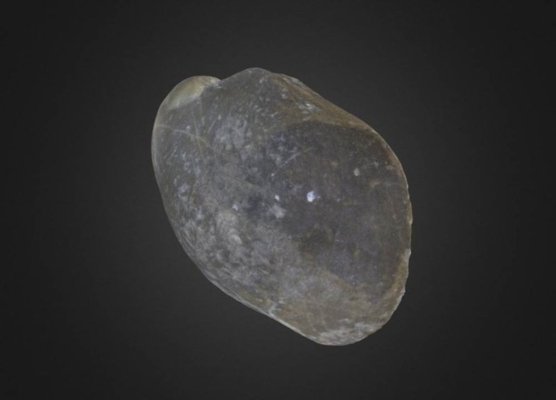 Thumb 9