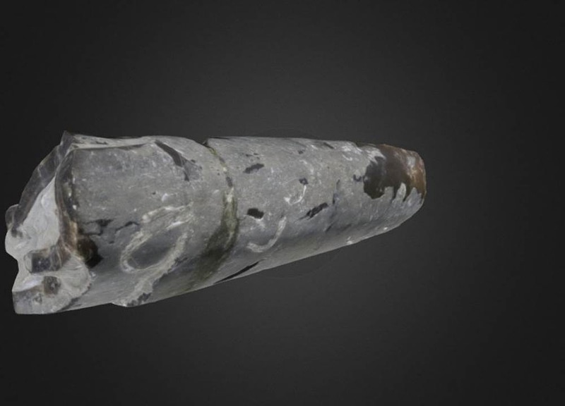 Thumb 6