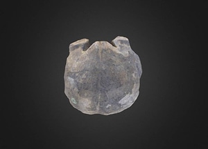image_processing20200609-26899-12c80ht.jpeg