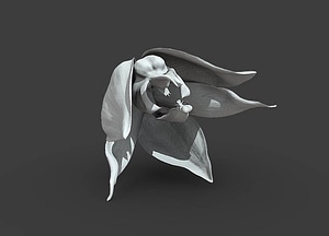 image_processing20200609-26899-1k9vp3p.jpeg
