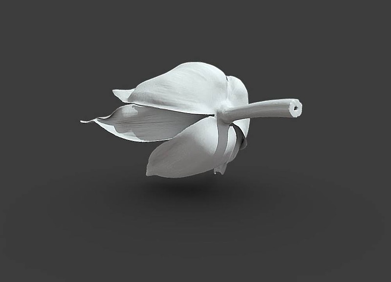 Thumb 7