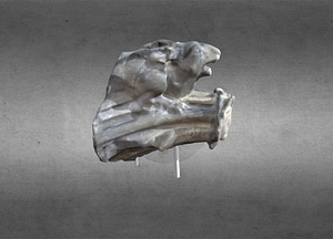 image_processing20200609-12213-85hzj9.jpeg
