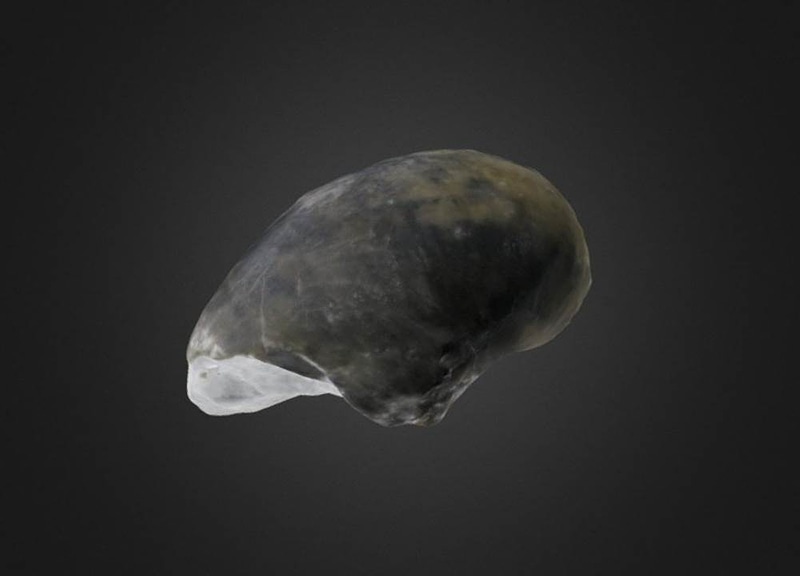 Thumb 7