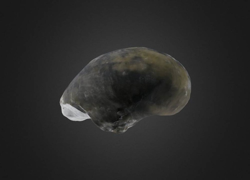 Thumb 8