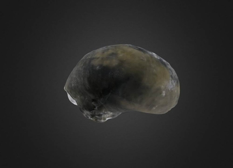 Thumb 9