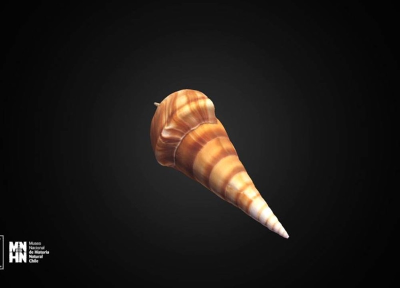 Thumb 10