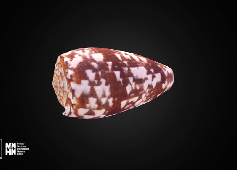 Thumb 6