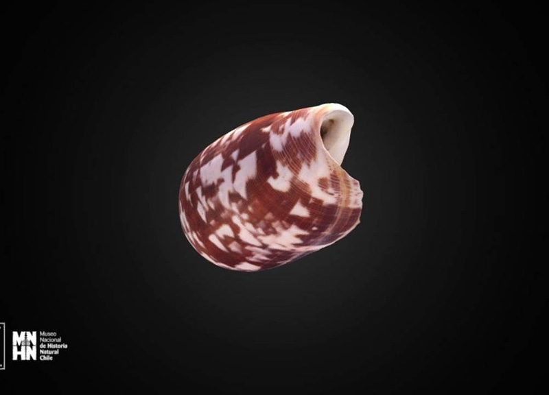 Thumb 10