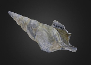 image_processing20200609-19185-1p30e3u.jpeg