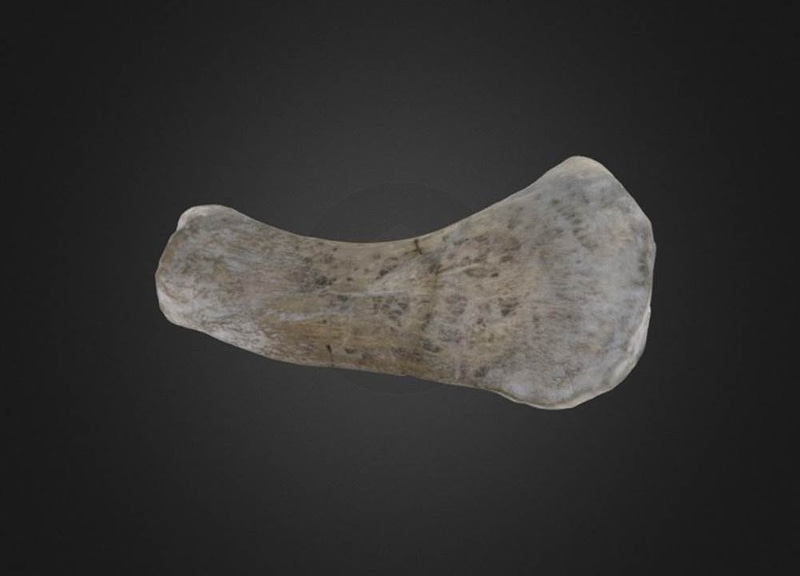 Thumb 1
