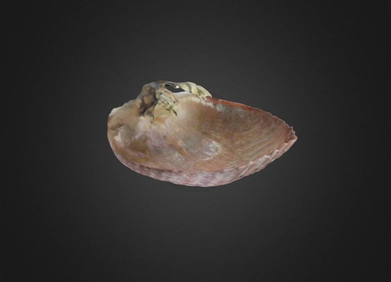 Thumb 1