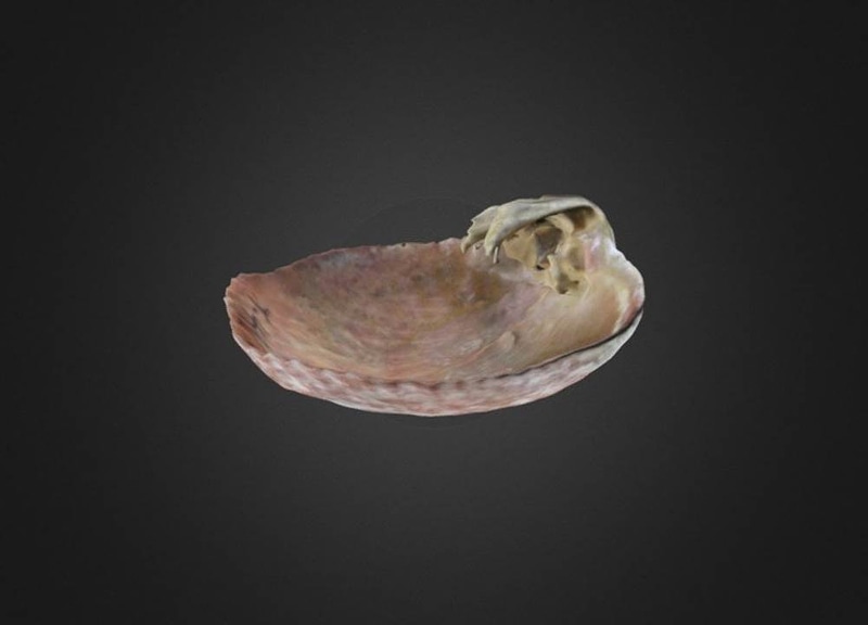 Thumb 6