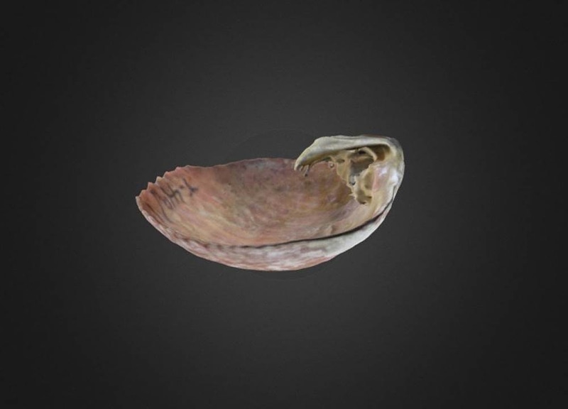 Thumb 7