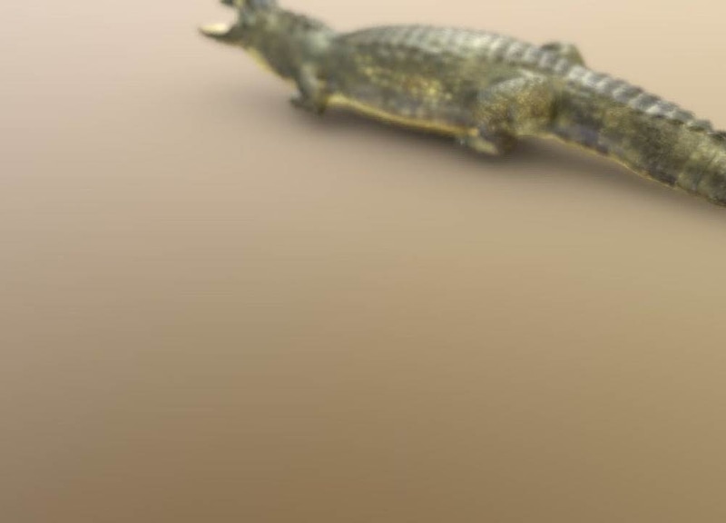 Thumb 7