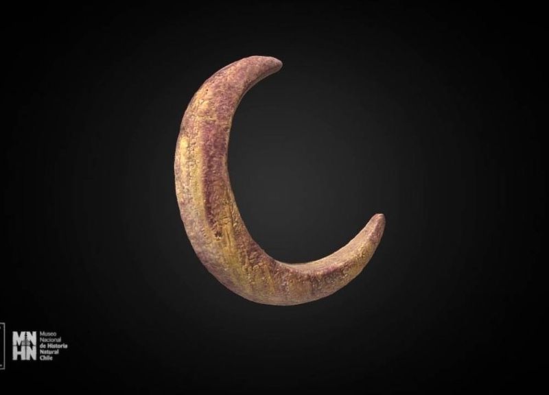 Thumb 6