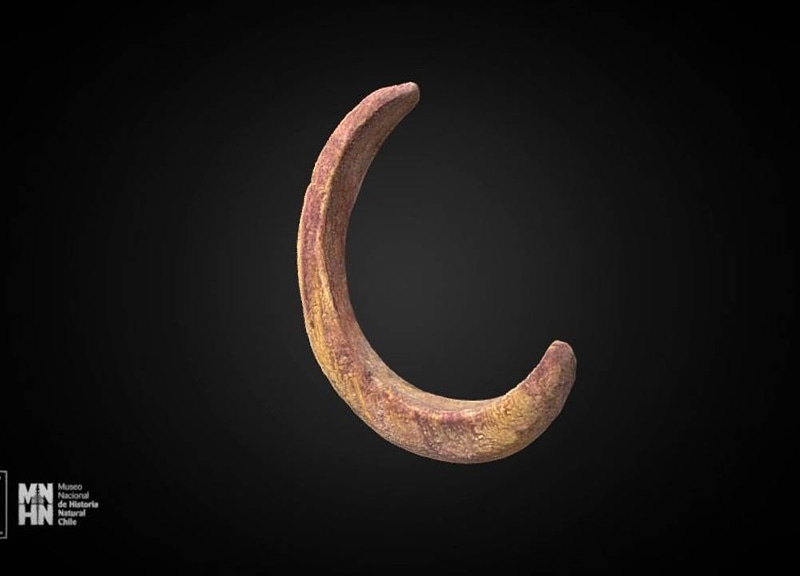 Thumb 9