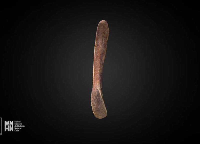 Thumb 11