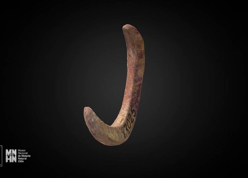 Thumb 12