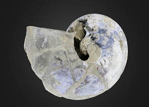 image_processing20200609-4993-m7pgyl.jpeg
